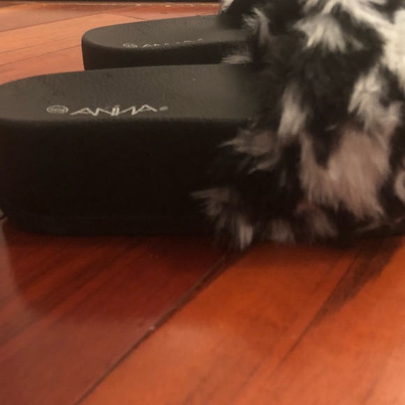 Zebra fur slides - Picture 6 of 6